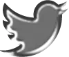 Twitter logo